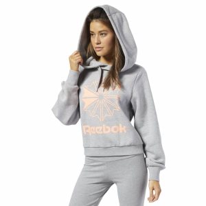 Reebok Classic Big Logo Fleece Kapuzenpullover Damen - Grau - DE 564-MDE